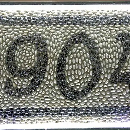 Efchi 1904 מלון 4*